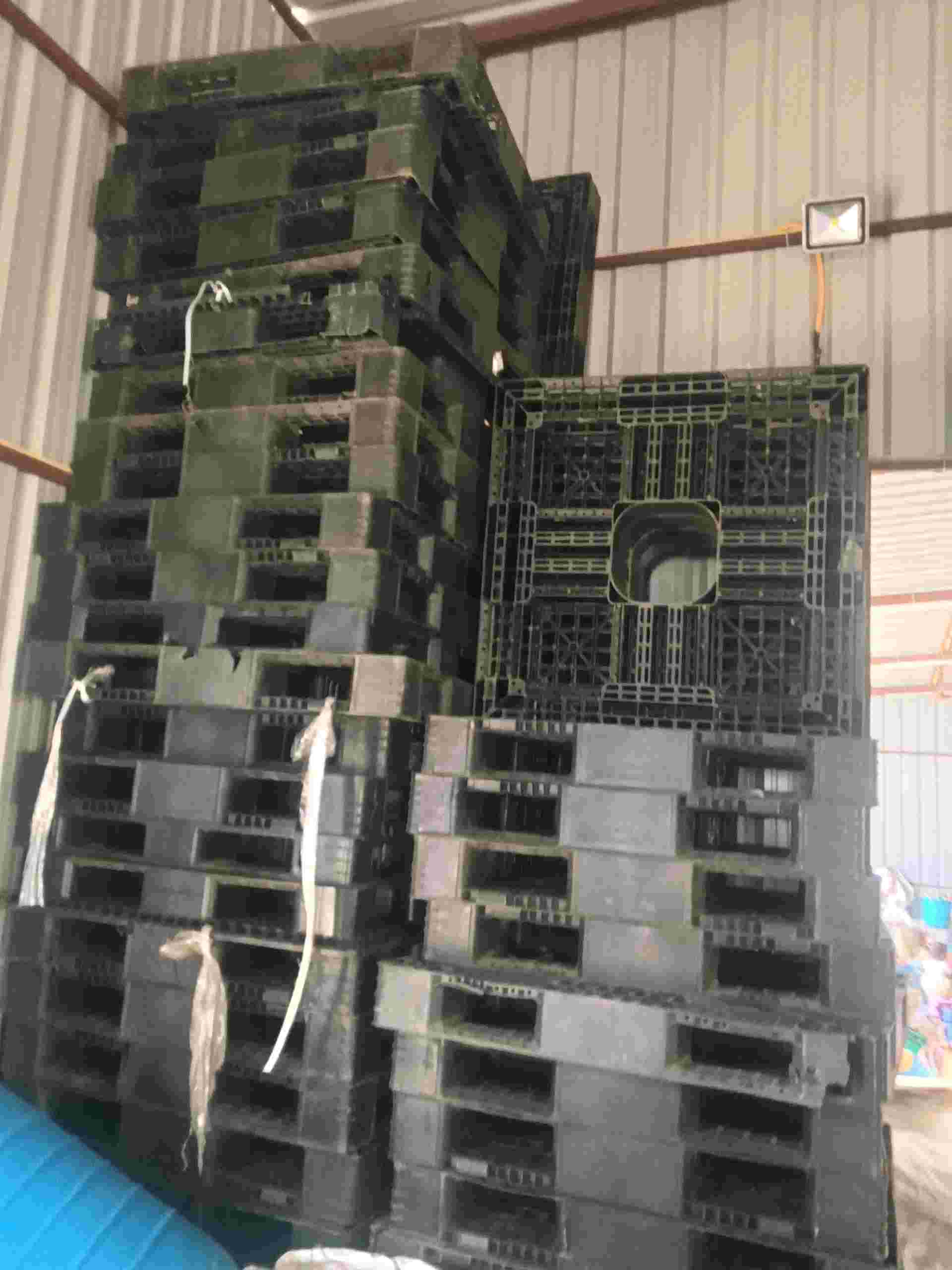 PP PALATE SRCAP PP Grinding Scrap Injection Molding thirumudivakkam tamil nadu india Plastic4trade