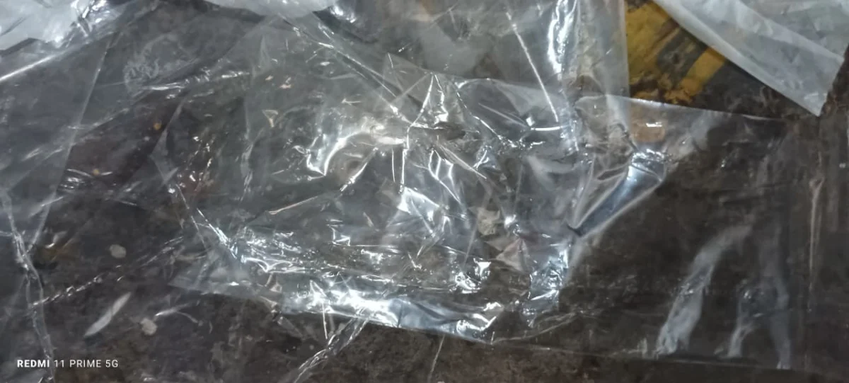 PP PANNI WEST PP Bag Film Grade halol gujarat india Plastic4trade