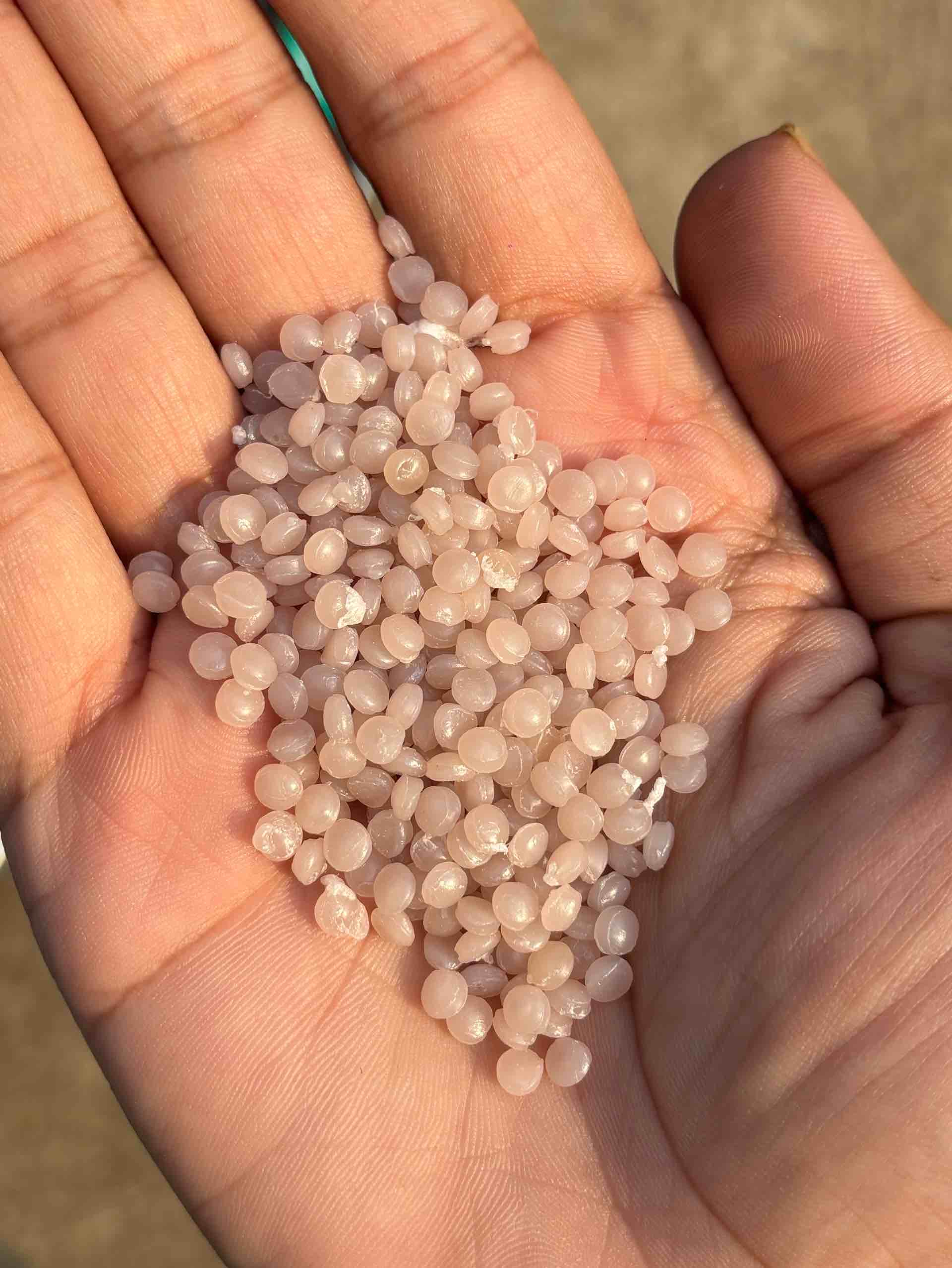 PP PINK NATURAL PP Reprocess Granule Injection Molding bidadi karnataka india Plastic4trade