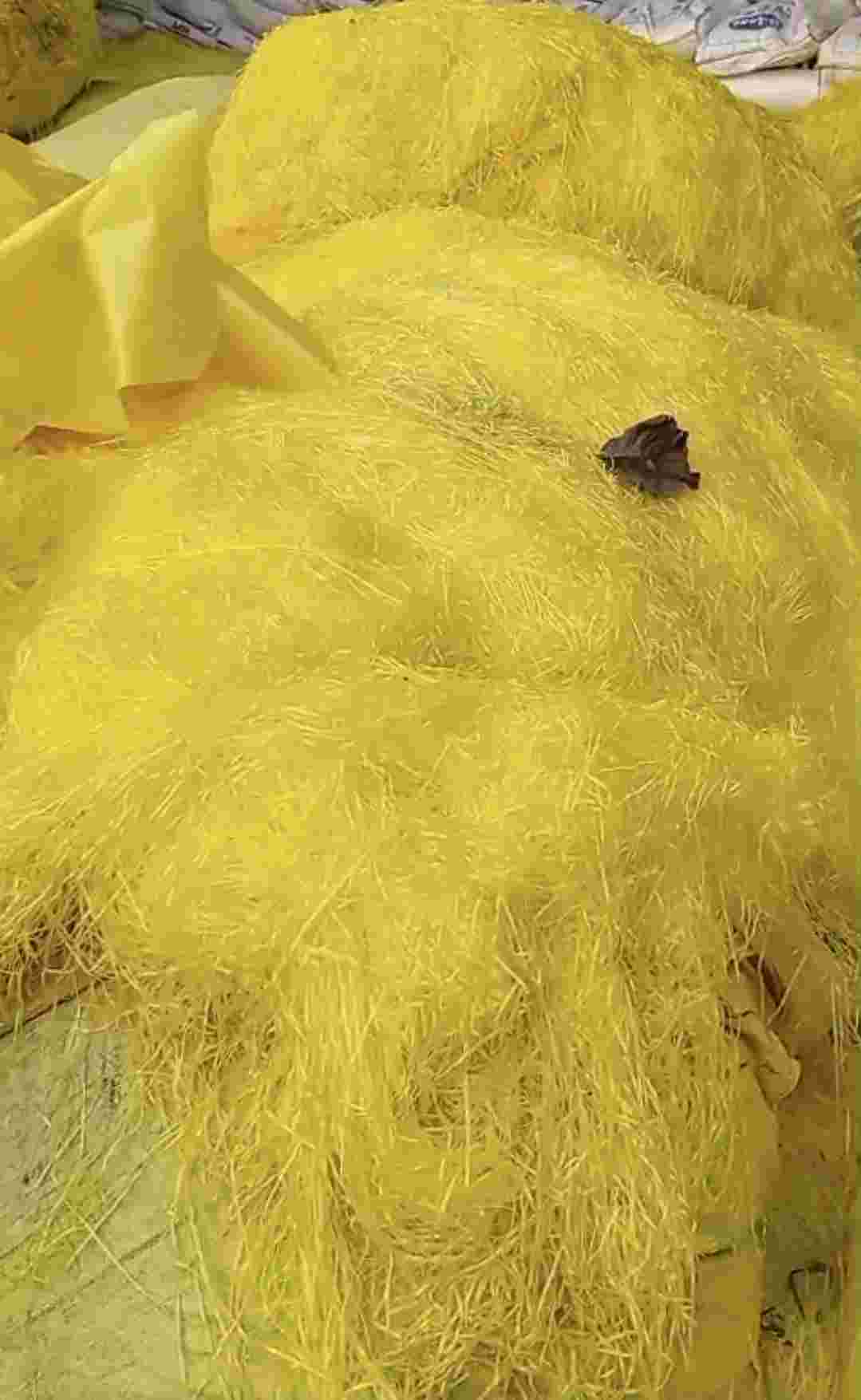 PP PP Baled RAFFIA gorakhpur uttar pradesh india Plastic4trade