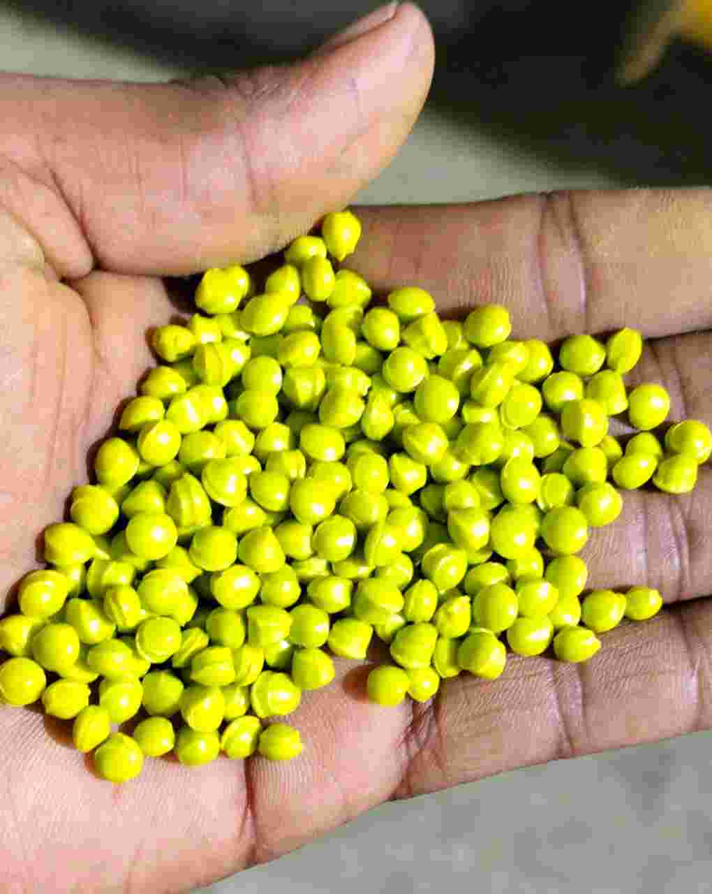 PP PP Reprocess Granule Extrusion RAFFIA vapi gujarat india Plastic4trade