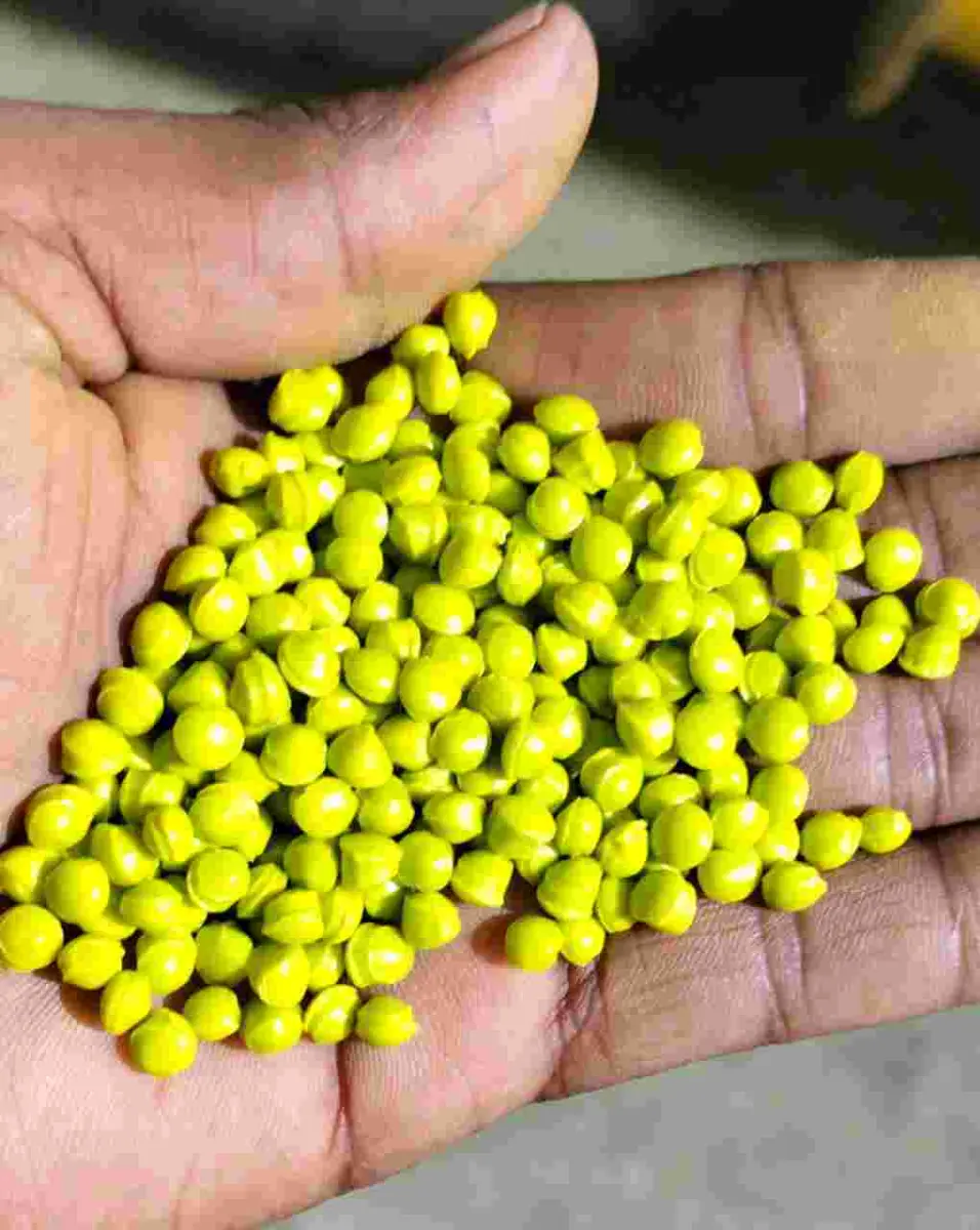 PP PP Reprocess Granule Extrusion RAFFIA vapi gujarat india Plastic4trade