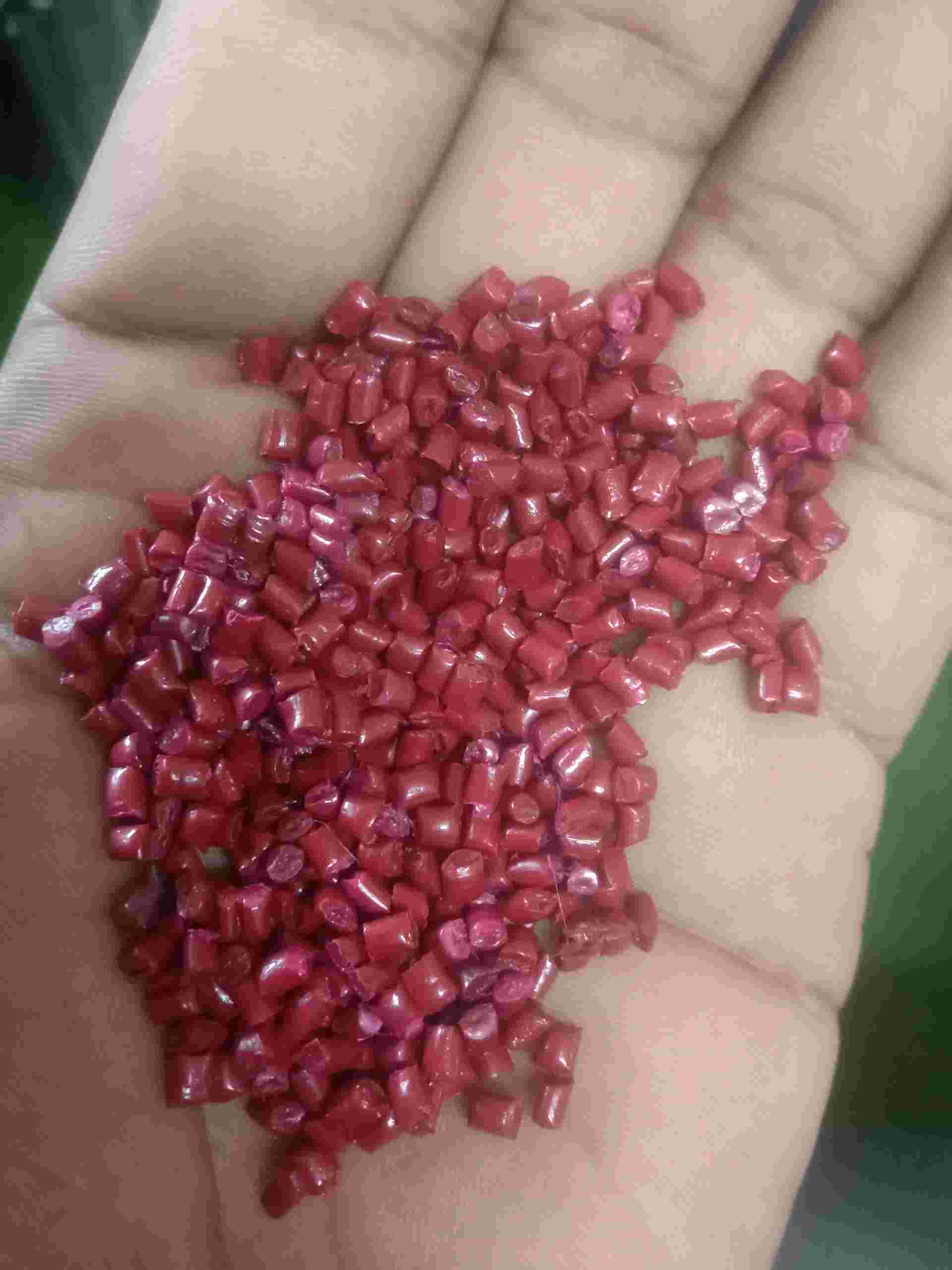 PP PP Reprocess Granule Injection Molding Extrusion vapi gujarat india Plastic4trade