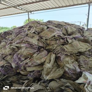 PP RAFFIA BAG SCRAP PP Scrap RAFFIA oran gujarat india Plastic4trade Plastic4trade