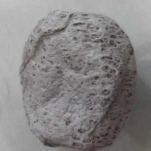 PP RAFFIA DULL WHITE LUMPS PP Lumps RAFFIA kosamba gujarat india Plastic4trade