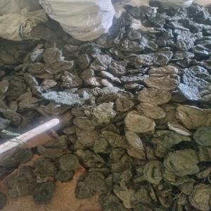 PP RAFFIA LUMPS GREEN PP Lumps RAFFIA kolar karnataka india Plastic4trade