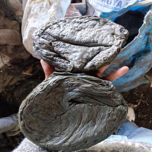 PP RAFFIA LUMPS PP Lumps Injection Molding raipur uttarakhand india Plastic4trade