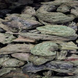 PP RAFFIA LUMPS PP Lumps RAFFIA dhule maharashtra india Plastic4trade Plastic4trade