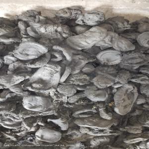 PP RAFFIA LUMPS PP Lumps RAFFIA mahuva gujarat india Plastic4trade