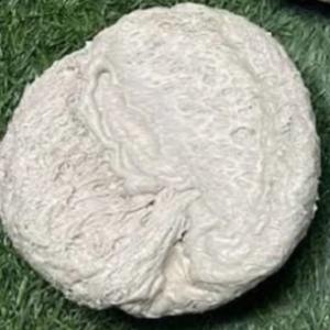 PP RAFFIA LUMPS PP Lumps RAFFIA morbi gujarat india Plastic4trade