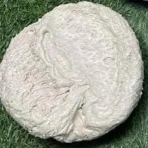 PP RAFFIA LUMPS PP Lumps RAFFIA morbi gujarat india Plastic4trade