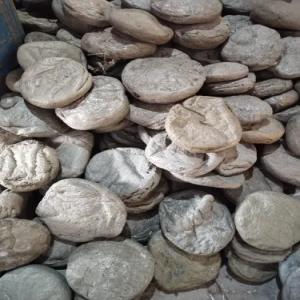 PP RAFFIA LUMPS PP Lumps RAFFIA vapi gujarat india Plastic4trade