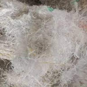 PP RAFFIYA GRASS PP Scrap RAFFIA undefined maharashtra india Plastic4trade
