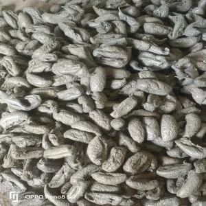 PP RAFIYA LUMPS LLDPE Lumps RAFFIA surat gujarat india Plastic4trade