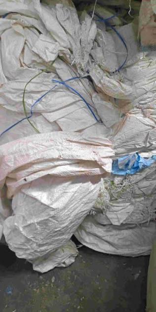 PP RAFIYA SCRAP PP Scrap RAFFIA mumbai maharashtra india Plastic4trade