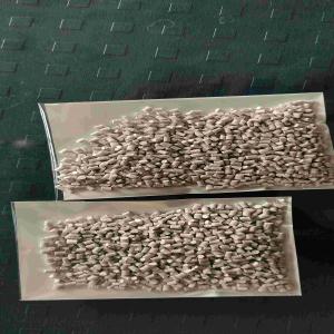 PP RECYCLED GRANUELS PP Reprocess Granule Film Grade morbi gujarat india Plastic4trade
