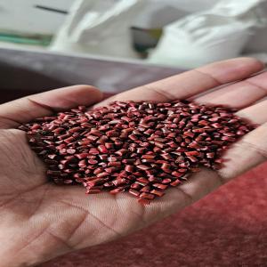 PP - RED 120 FILTER PP Reprocess Granule Blow Injection Molding chhatral gujarat india Plastic4trade Plastic4trade