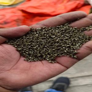 PP REPROCESSED GRANULES PP Reprocess Granule Injection Molding RAFFIA pritampur madhya pradesh india Plastic4trade Plastic4trade
