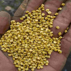 PP REPROSES GRENUALS PP Reprocess Granule Injection Molding surat gujarat india Plastic4trade