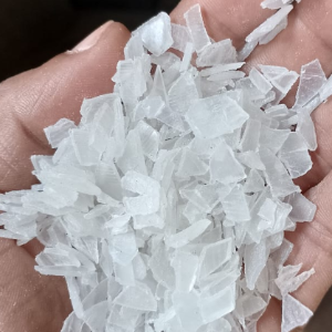 PP SCRAP GRINDING PP Scrap Injection Molding gondal gujarat india Plastic4trade