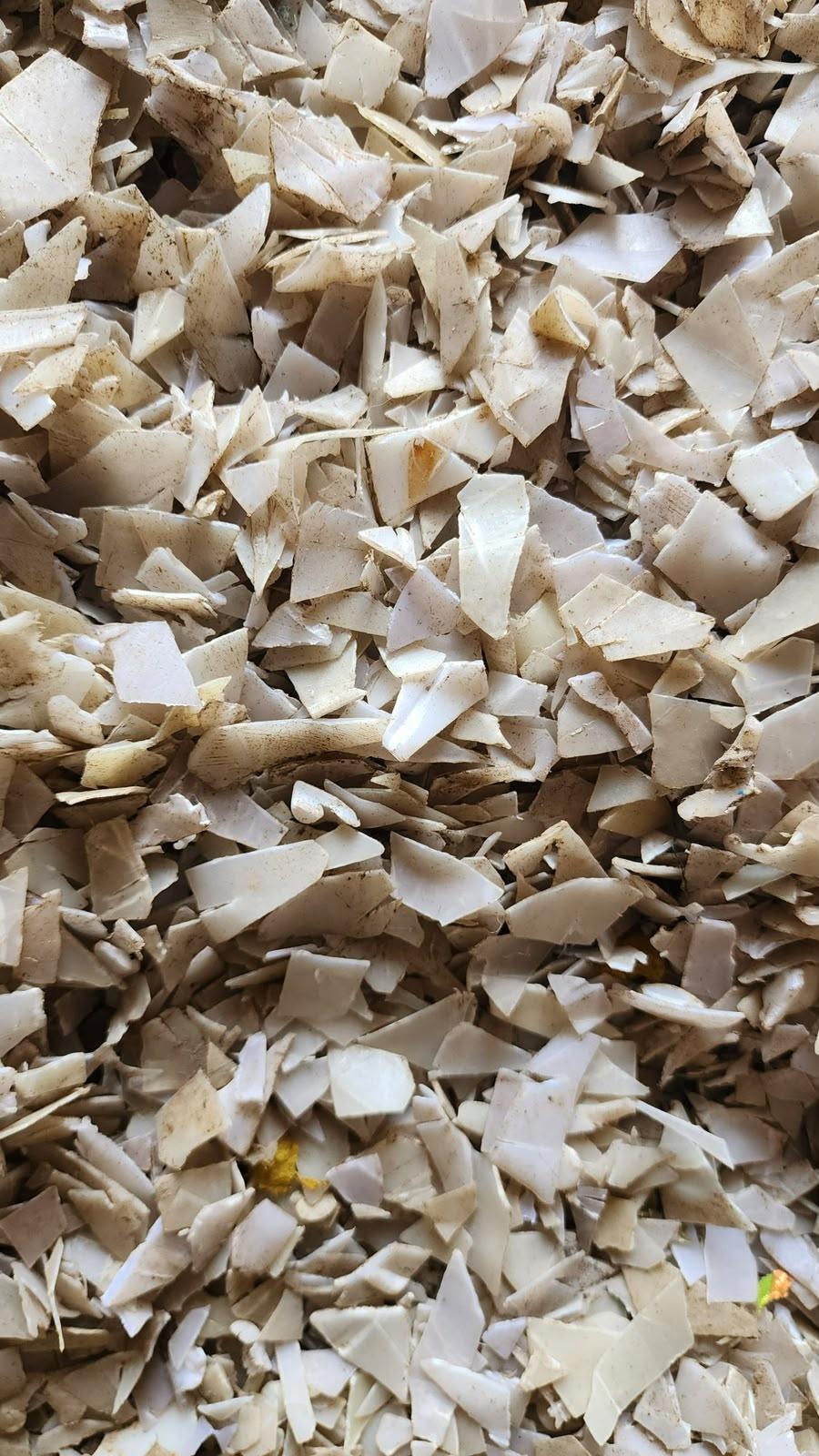 PP SCRAP PP Grinding Injection Molding amreli gujarat india Plastic4trade