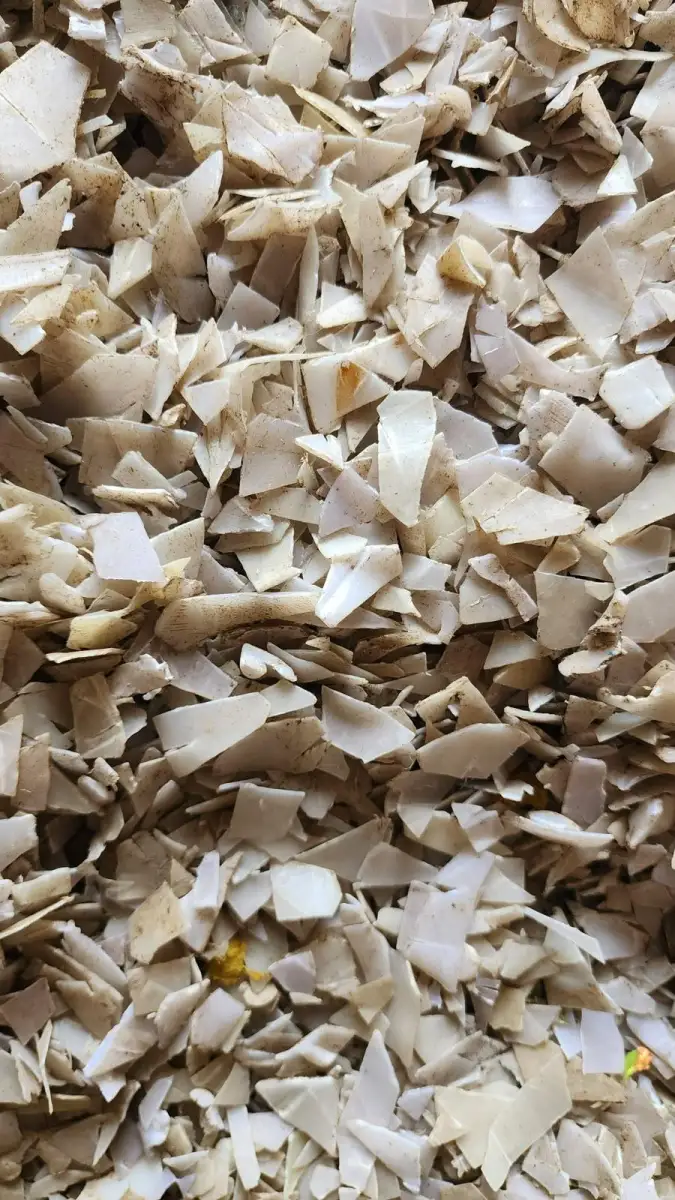 PP SCRAP PP Grinding Injection Molding amreli gujarat india Plastic4trade