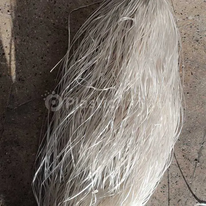 PP WASTE & PP GRANUALES PP Grinding Film Grade gujarat india Plastic4trade