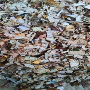 PP WHITE GRINDING SCRAP PP Grinding Injection Molding new delhi delhi india Plastic4trade