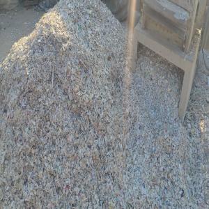 PP WHITE MILKY GRINDING PP Grinding Scrap Injection Molding nagaur rajasthan india Plastic4trade Plastic4trade