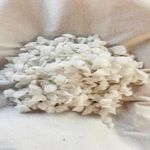 PP WHITE MILKY GRINDING SCRAP PP Grinding Injection Molding ahmedabad gujarat india Plastic4trade