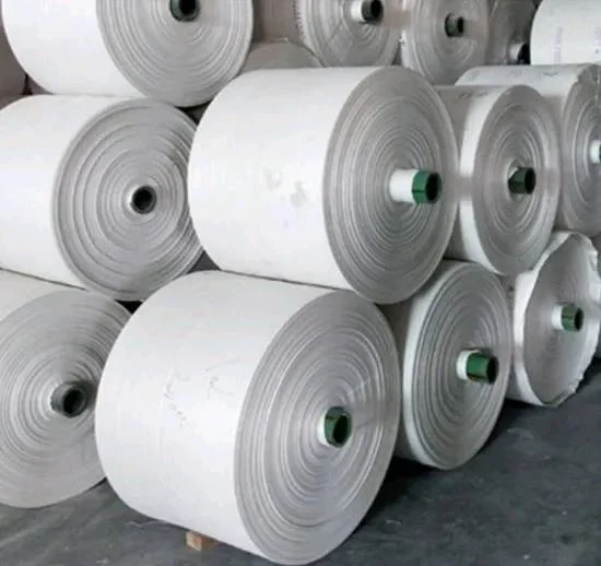 PP WOVEN FABRIC ROLL PP Rolls RAFFIA shevgaon maharashtra india Plastic4trade