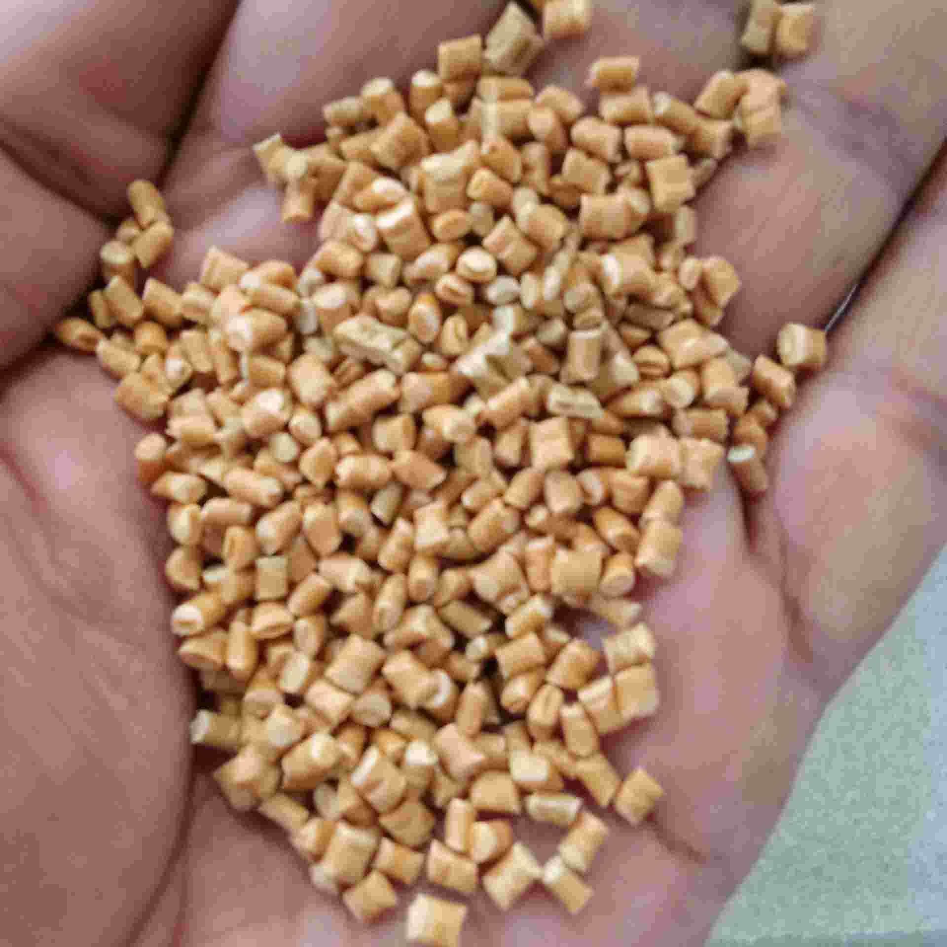 PP YELLOW REPROCESS GRANULE PP Reprocess Granule RAFFIA daman dadra and nagar haveli and daman and diu india Plastic4trade