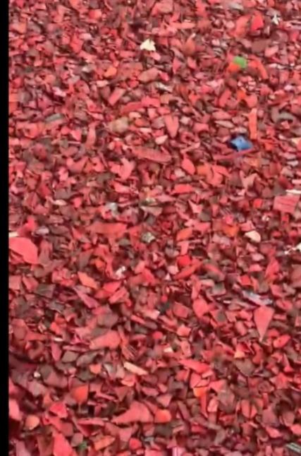 PPCP  BATTERY SCRAP PPCP Scrap Injection Molding pune maharashtra india Plastic4trade