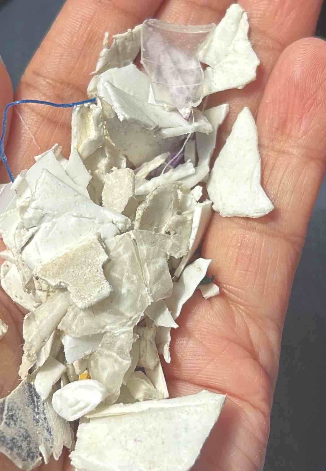 PPCP CHIPS PPCP Resin Flakes Injection Molding hyderabad telangana india Plastic4trade