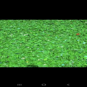 PPCP GRIDNING PPCP Grinding Injection Molding bengaluru karnataka india Plastic4trade