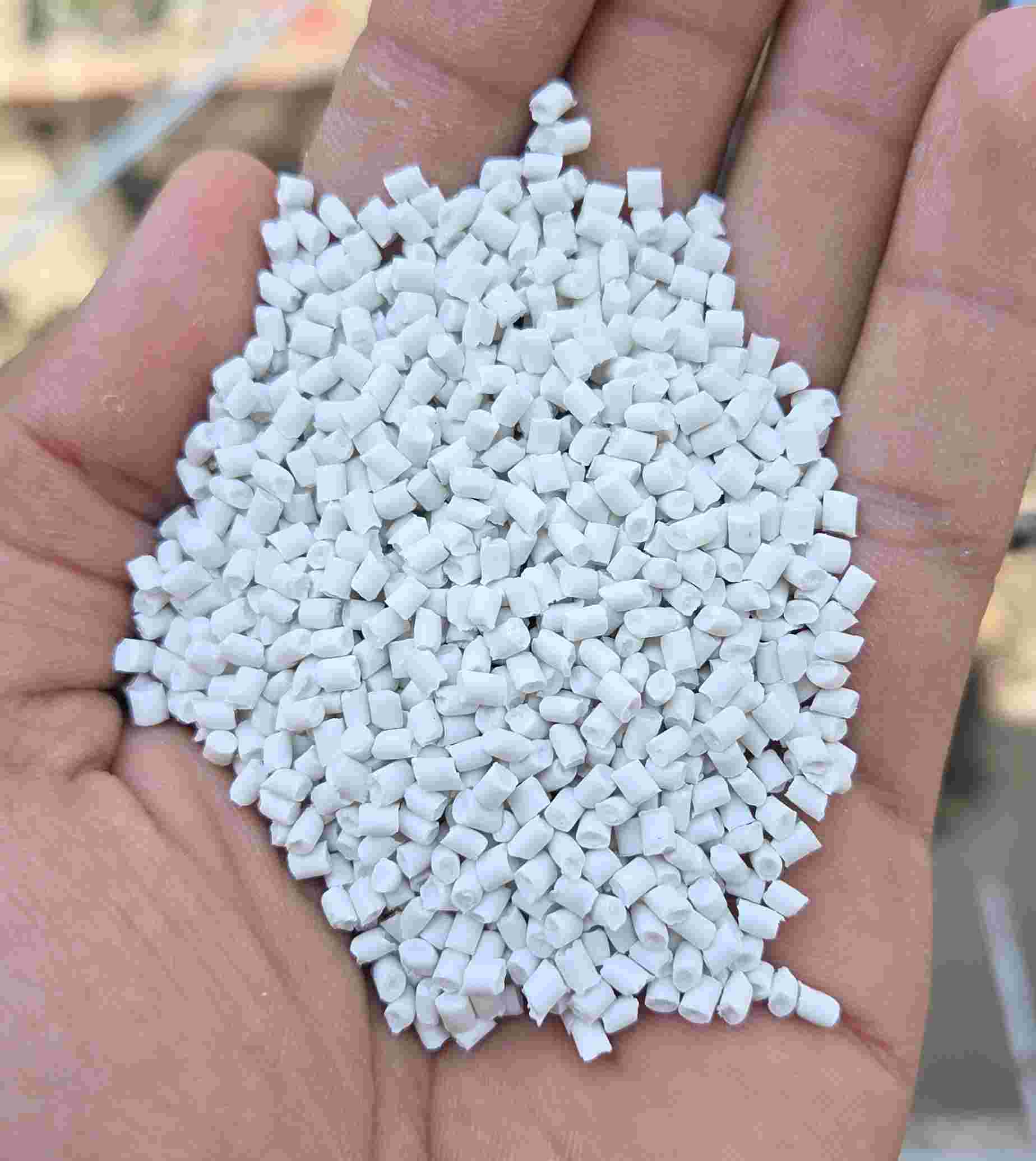 PPCP MILKY WHITE GRANULES PPCP Reprocess Granule Injection Molding delhi delhi india Plastic4trade