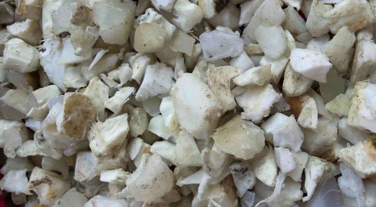 PPCP NATURAL GRINDING WASHED PPCP Plastic4trade