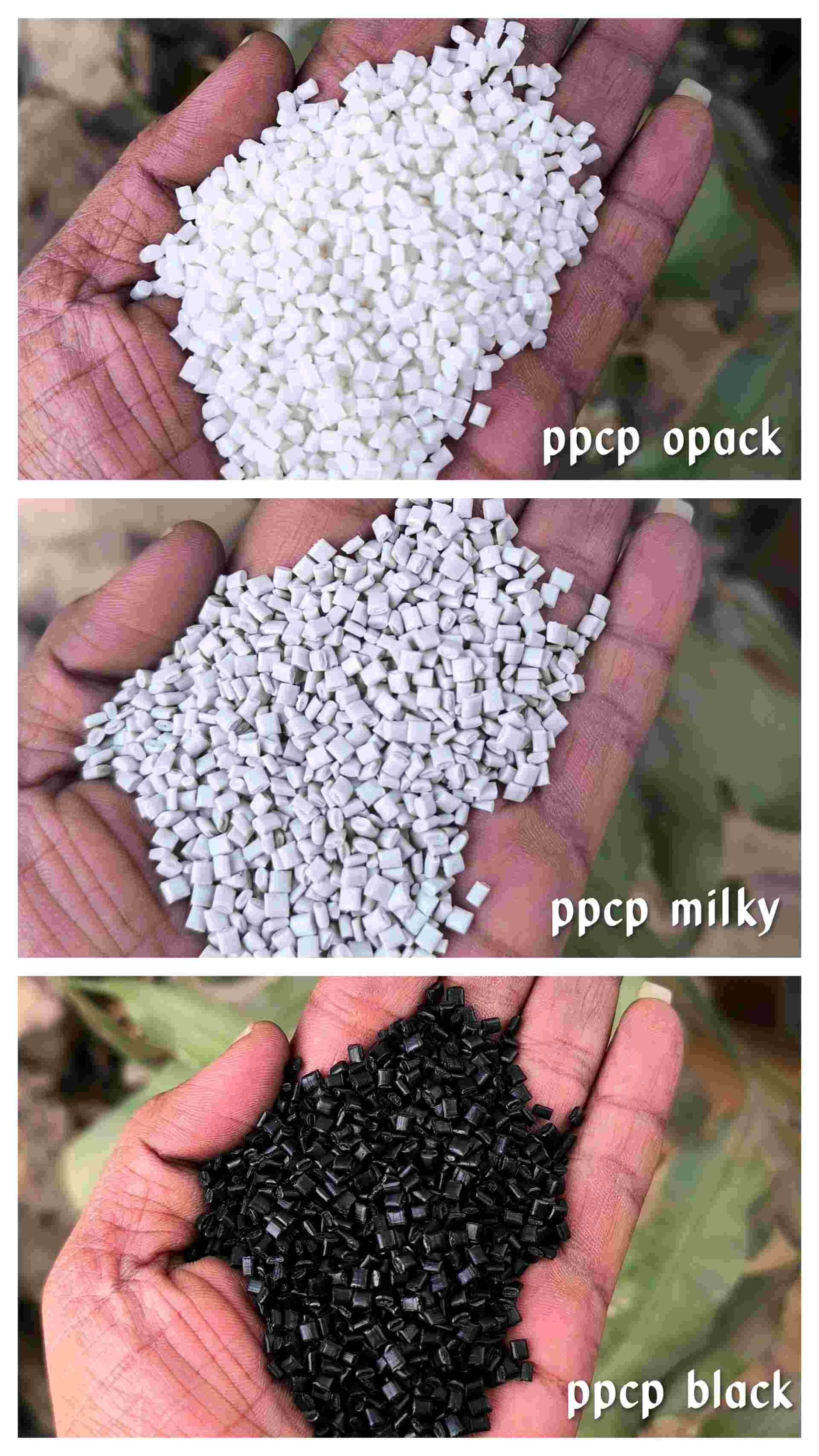 PPCP PP Reprocess Granule Injection Molding hyderabad telangana india Plastic4trade