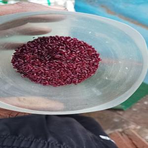 PPCP REPROCESSED GRANULES PPCP Reprocess Granule Injection Molding bilaspur kalan haryana india Plastic4trade
