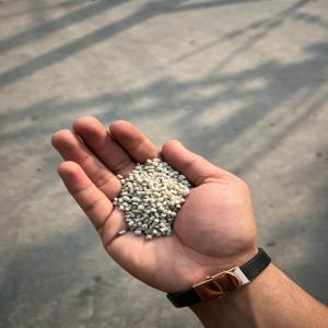 PPCP WHITE MILKY  REPROCESS GRANULES PPCP Reprocess Granule Injection Molding rajkot gujarat india Plastic4trade