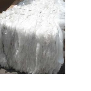 PPLDHM NATURAL FILM SCRAP PP Scrap Film Grade vadrad gujarat india Plastic4trade