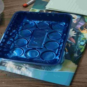 PVC BLISTER PVC Finish Goods Injection Molding silvassa dadra and nagar haveli and daman and diu india Plastic4trade