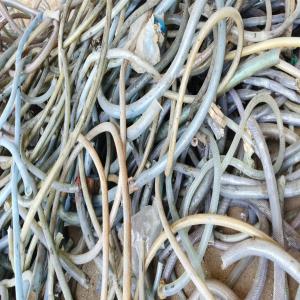 PVC PIPE SCREP PVC Scrap Extrusion Pipe haridwar uttarakhand india Plastic4trade Plastic4trade