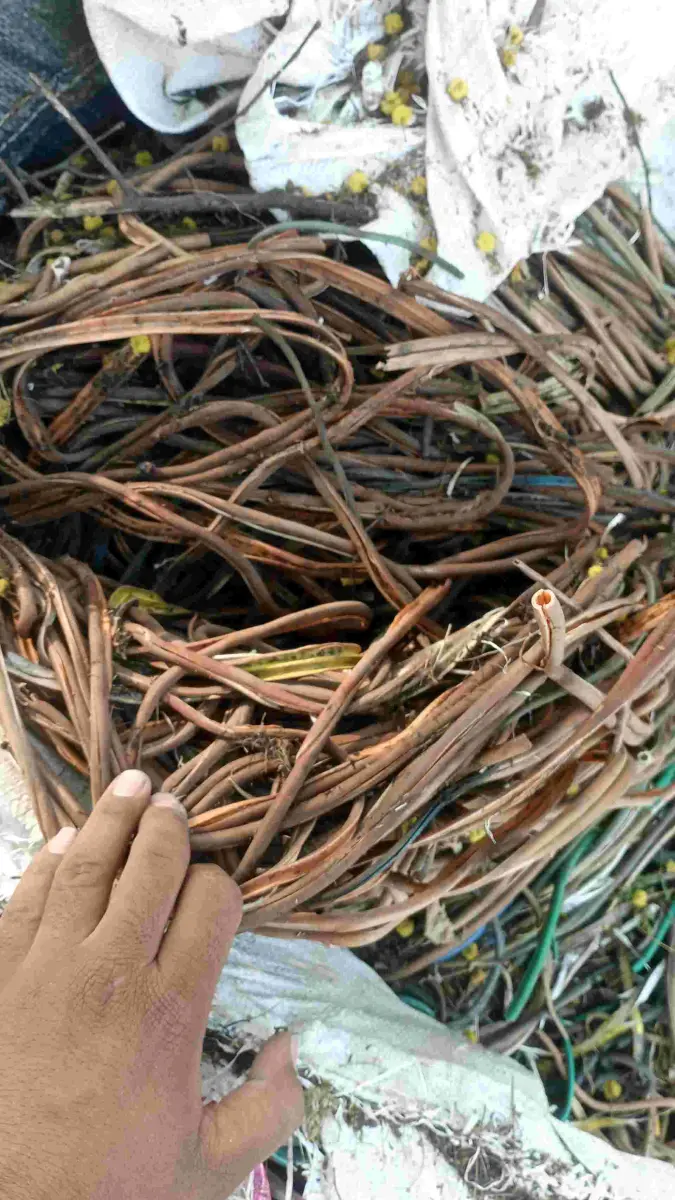 PVC PVC Plastic4trade