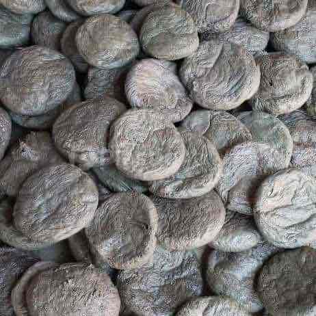 RAFFIA LUMPS  Lumps RAFFIA samastipur bihar india Plastic4trade