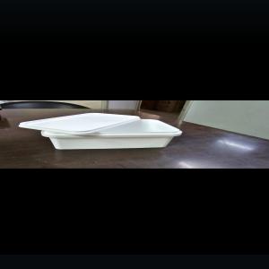 RECTANGULAR TAMPER PROOF PLASTIC CONTAINER FOR KHAJUR PP Finish Goods Injection Molding delhi delhi india Plastic4trade