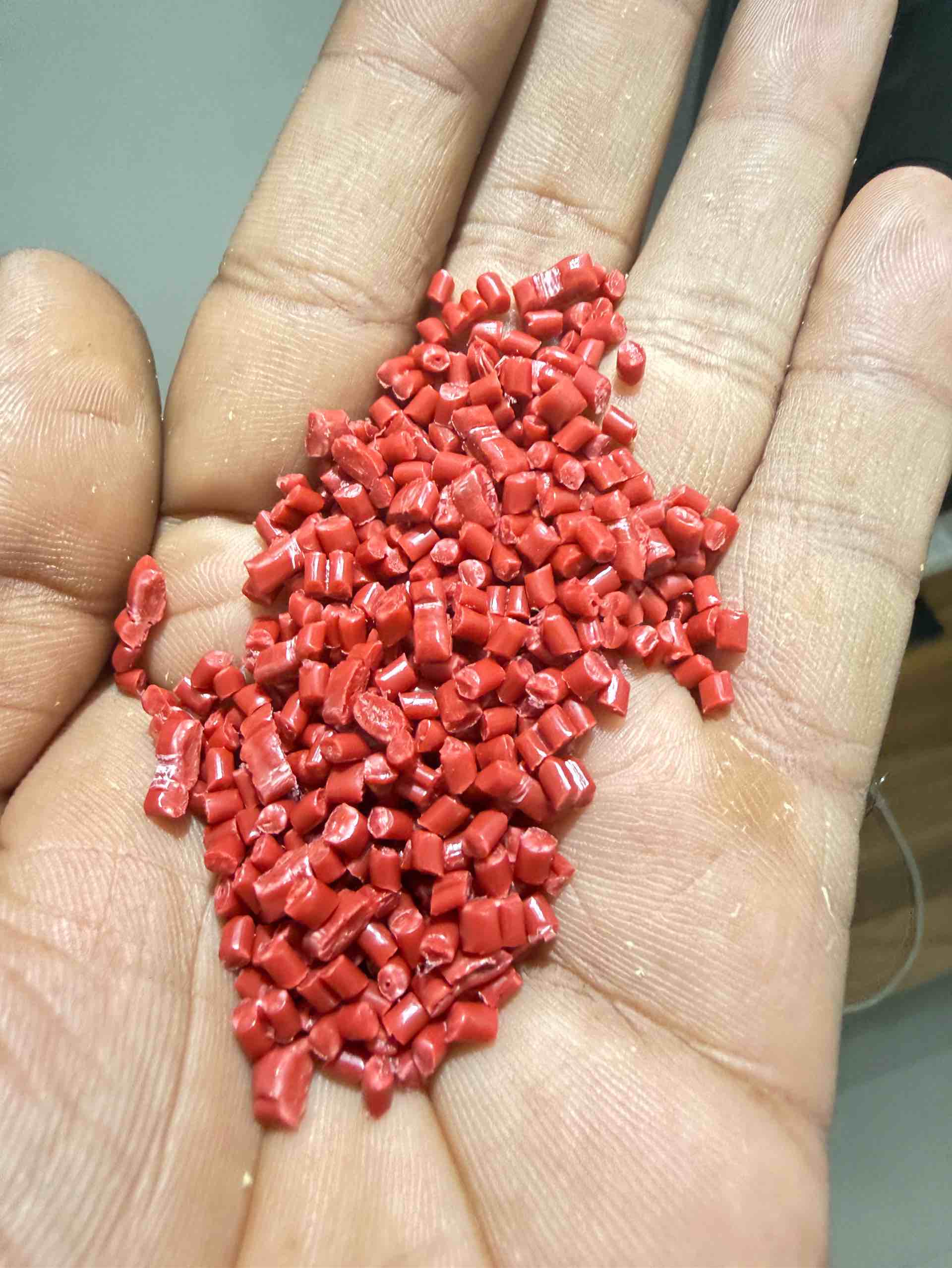 RED COLOUR PP GRANUELS PP Reprocess Granule Injection Molding surat gujarat india Plastic4trade