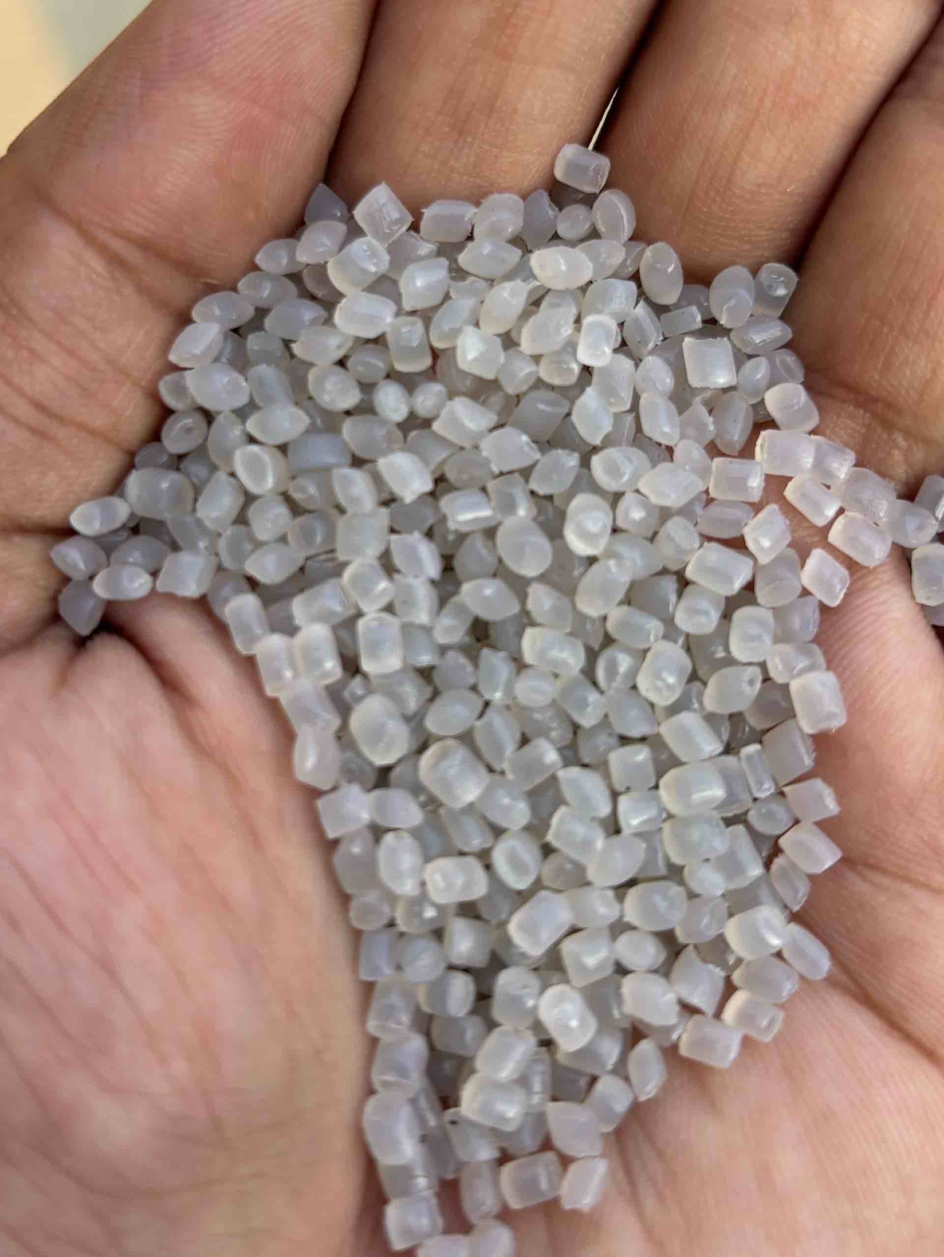 REPROCESSED LDPE GRANULE  Reprocess Granule Film Grade pune maharashtra india Plastic4trade