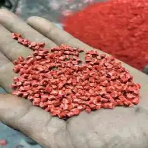 RP COLORED PP GRANULES PP Reprocess Granule Injection Molding new delhi delhi india Plastic4trade