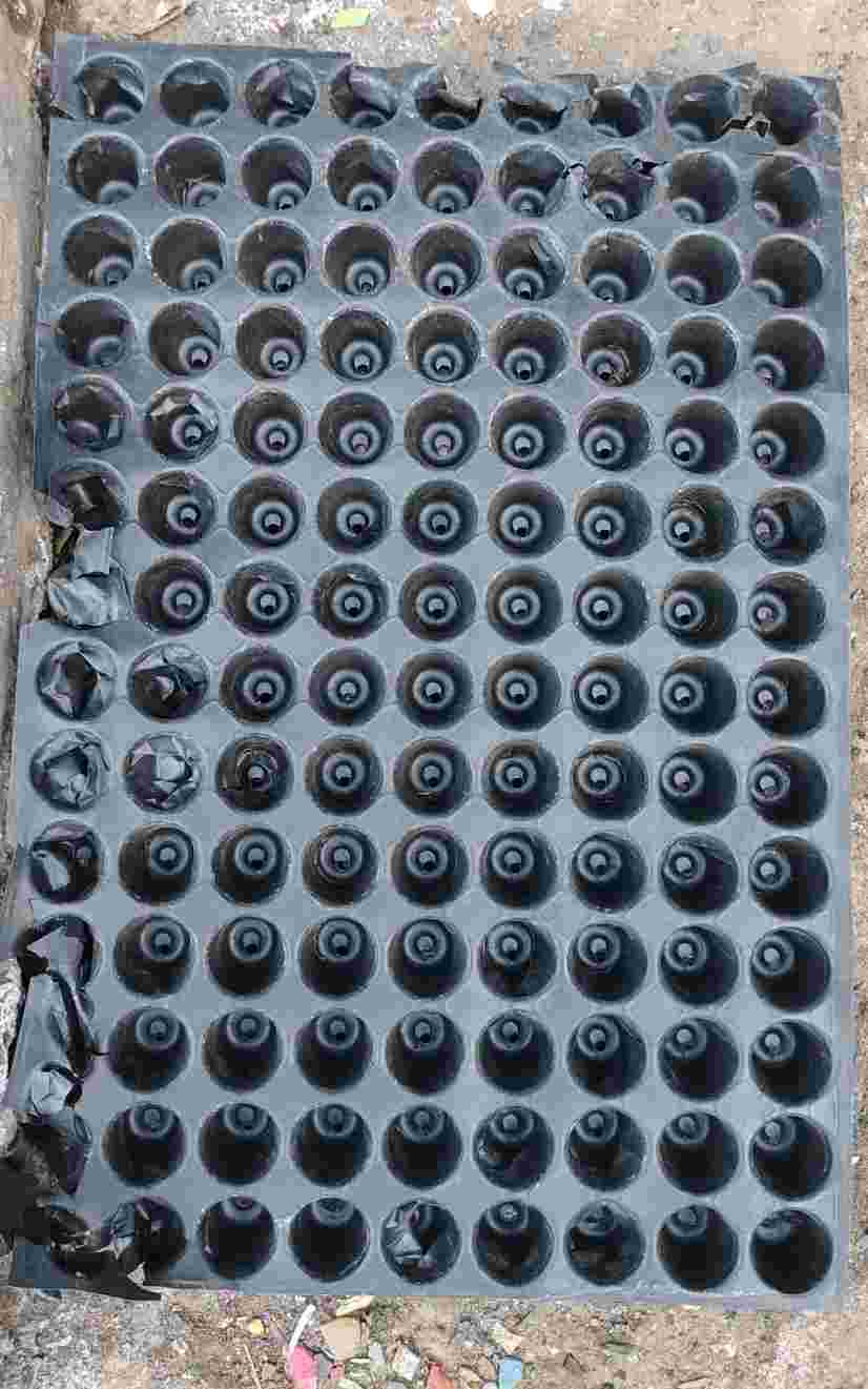 SEEDLING TRAYS NURSARY HIPS HIPS Grinding Injection Molding dhule maharashtra india Plastic4trade
